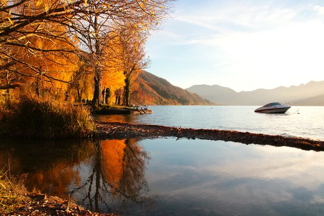 Herbstfarben am Seeufer