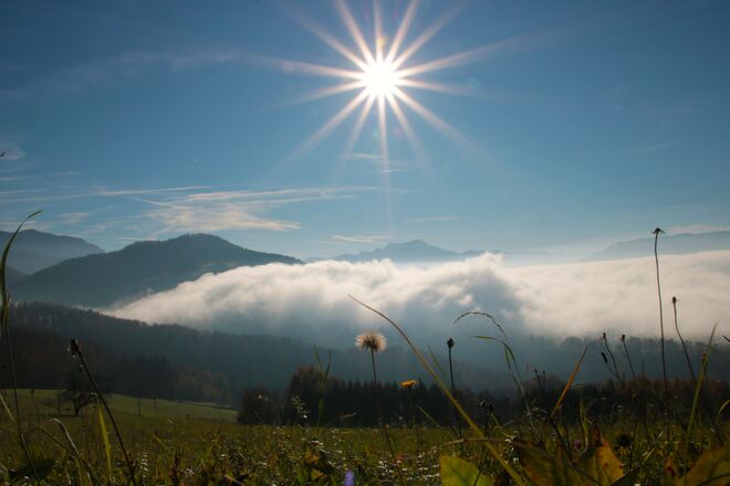 Nebelwallen überm Attersee