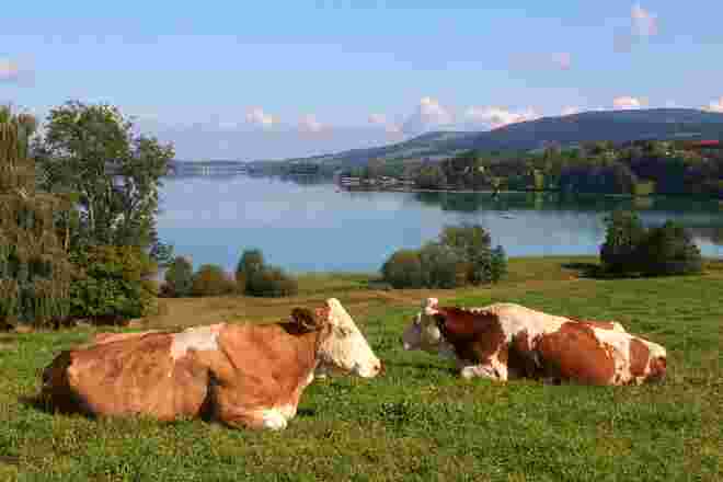 September am Irrsee
