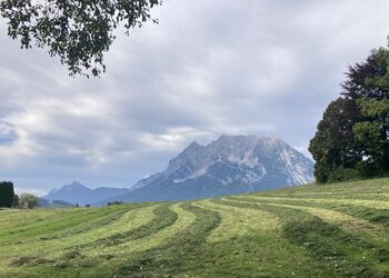 Letzte Mahd