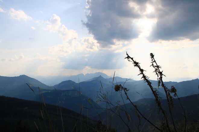 Die Sonne läßt sich bitten
