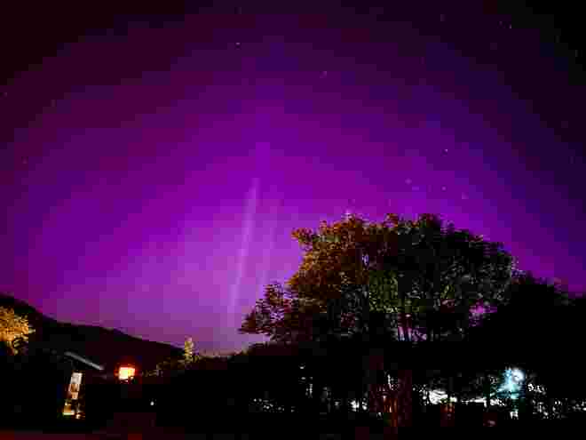 Purple Night 