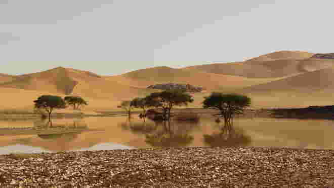 Wüste
