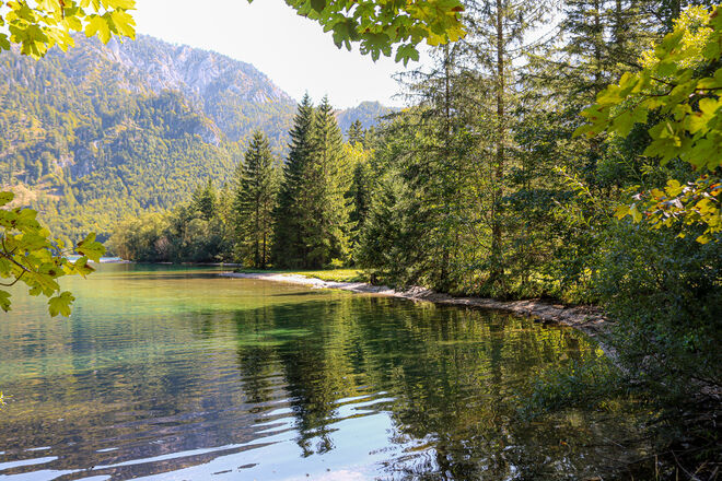 Der Wald verfärbt sich...