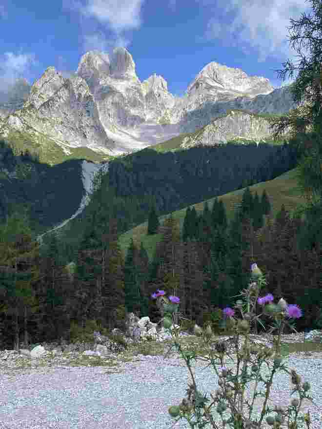 Blick zur Bischofsmütze 