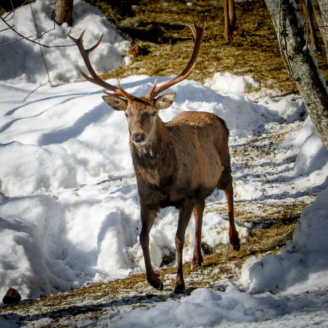 da kommt noch jemand...:)