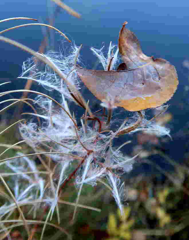Herbstliche Impression 