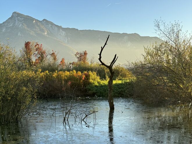 Herbstliche Stimmung