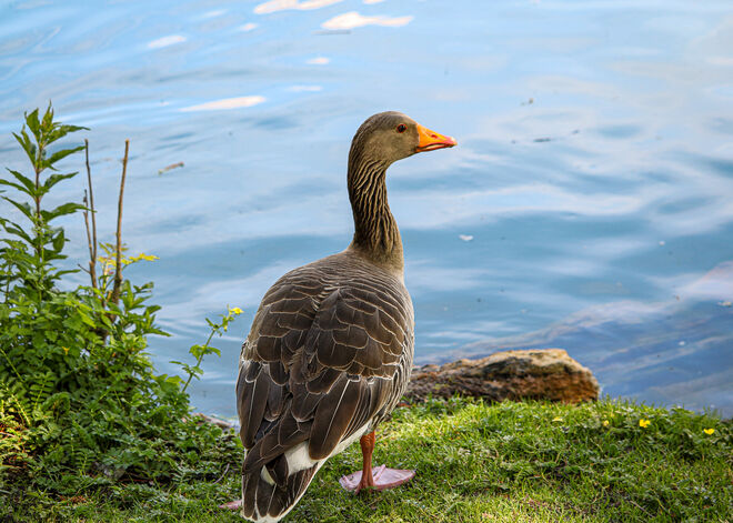 Mal schauen, was der Tag so bringt....