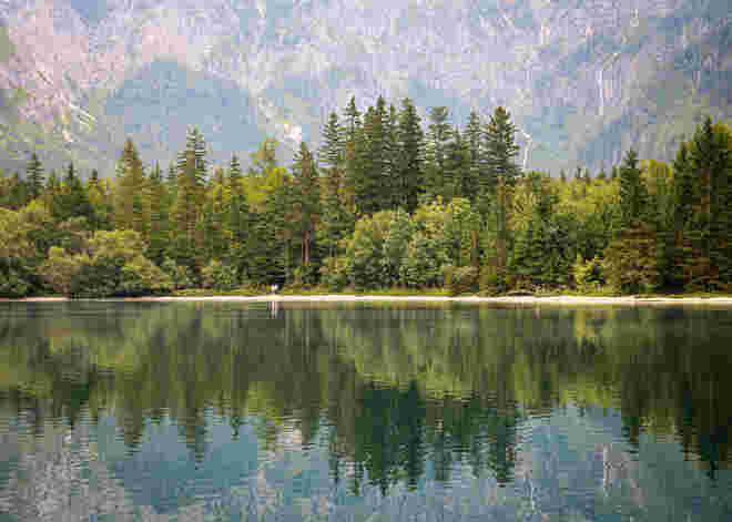 Wildromantischer Offensee