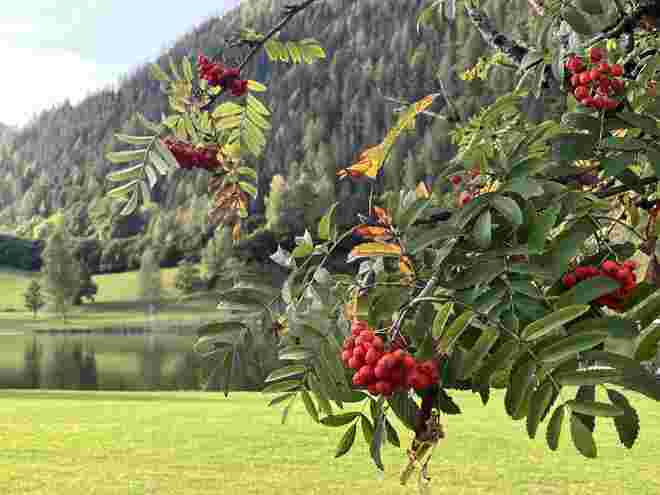 Frühherbstlich