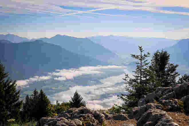 Frühnebel...