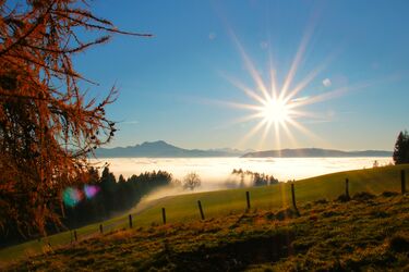 Die Novembersonne genießen