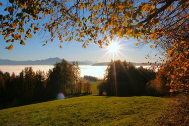 Vom Bankerl aus die Aussicht genießen