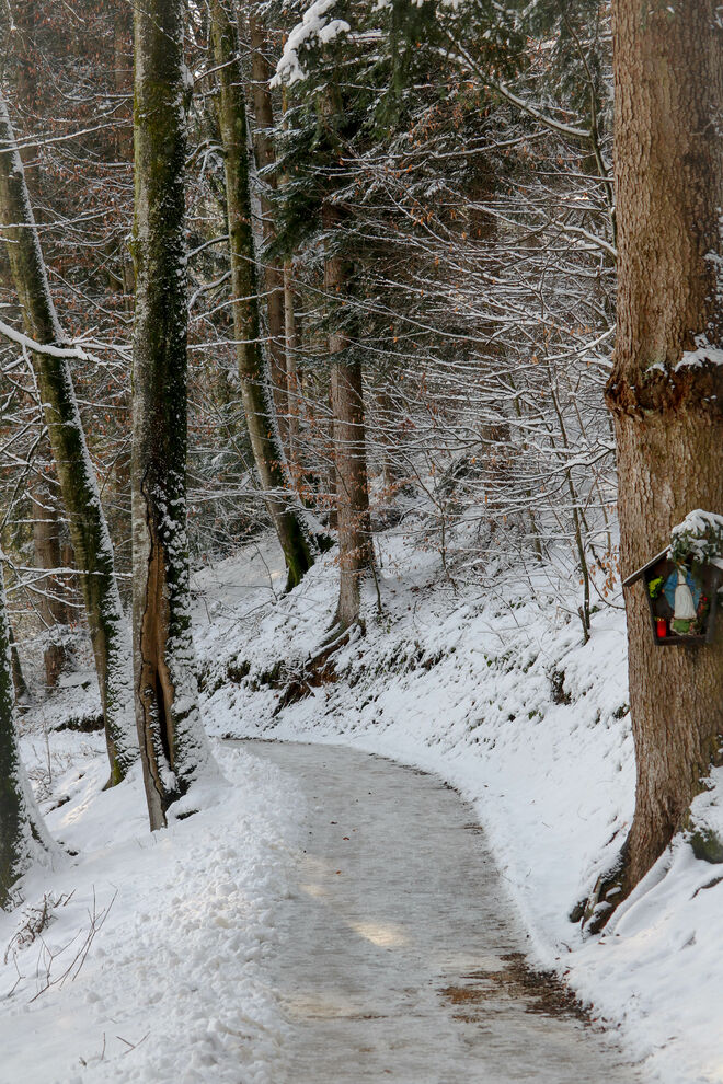 durch den verschneiten Wald....