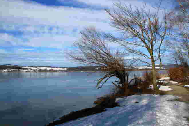Uferwegerl am Wallersee