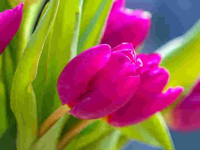 Hallo Frühling...