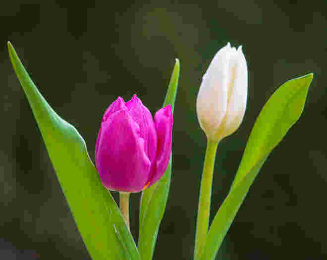 Hallo Frühling!