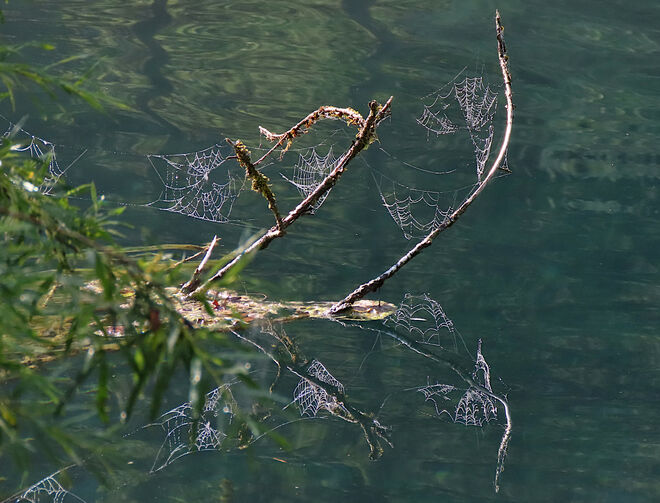 Fleißige Spinnerinnen