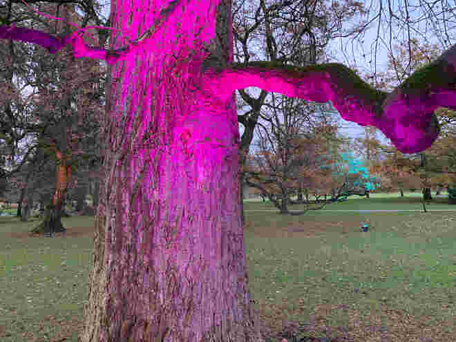 Farbe des Jahres 2023