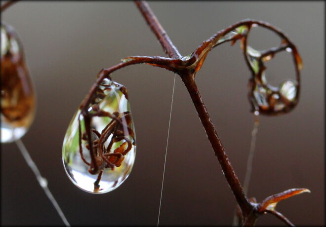 * im Grau des Novembers gefangen *