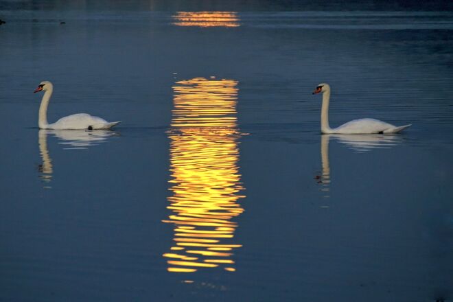 Wenn sich der Vollmond im Wasser spiegelt ...