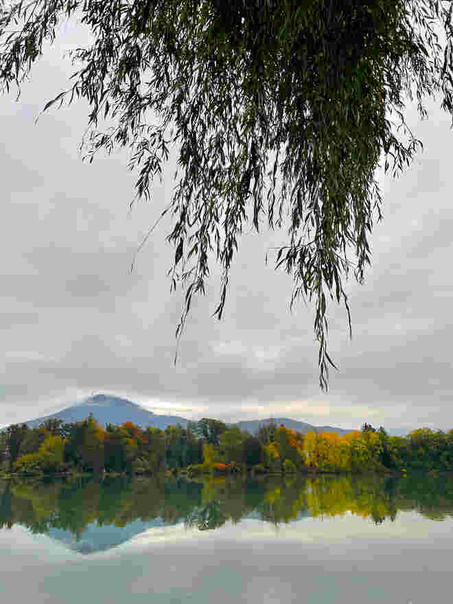 Herbstimpression vom Lepiweiher 