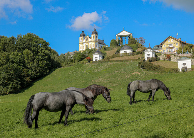 Vor so schöner Kulisse schmeckts doppelt gut...:)