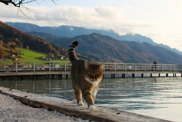 Nachmittagsspaziergang am See