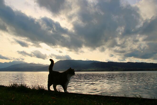 Wolkenstimmung bestaunen