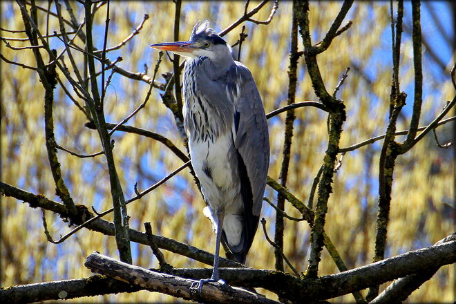 * nur nicht die Balance verlieren *