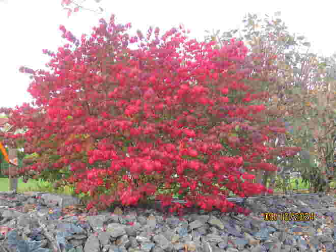  Herbstzauber 