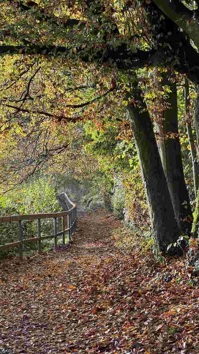 Herbstzauber