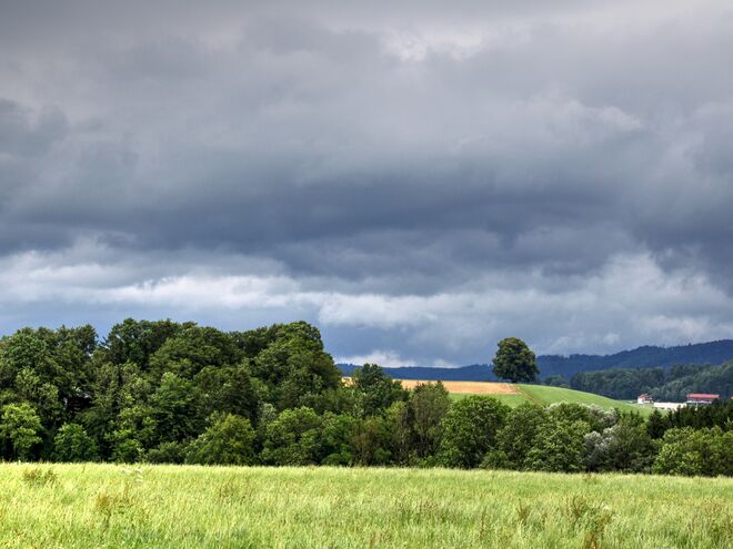 Dunkle Wolken über der Eugendorfer Gschirnlinde