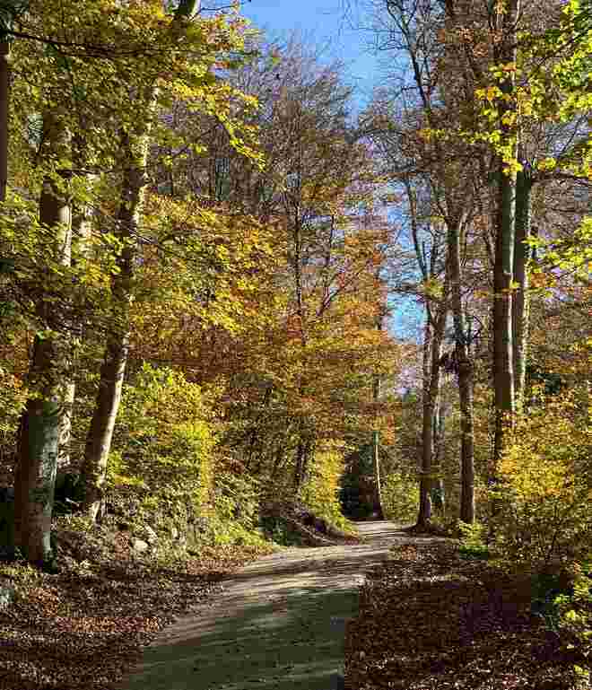 Novemberfarben