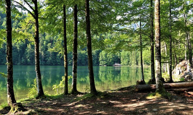 Still liegt er da...