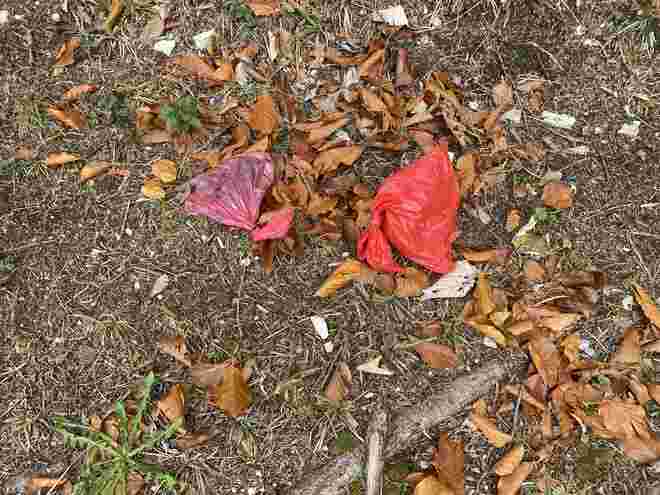 Natur pur?