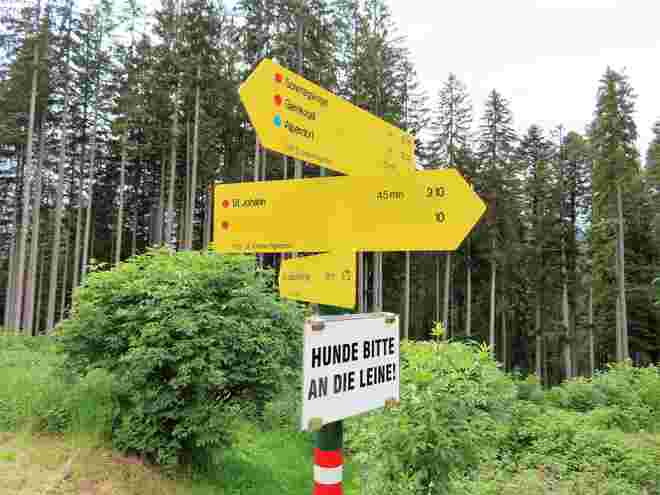 Schilderwald