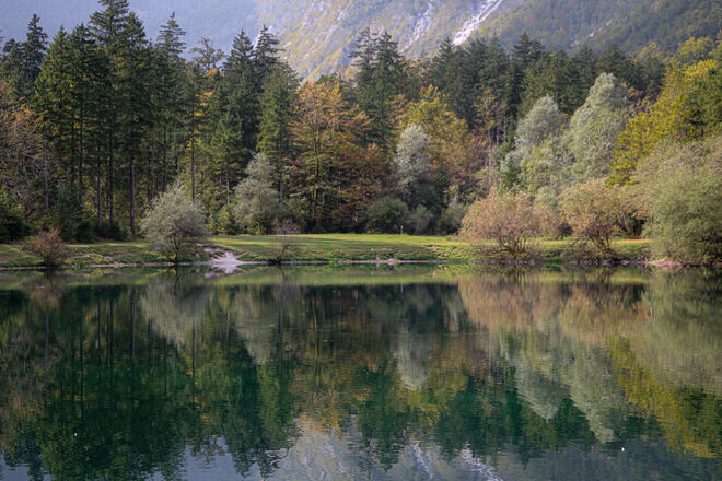 Langsam färbt sich der Wald