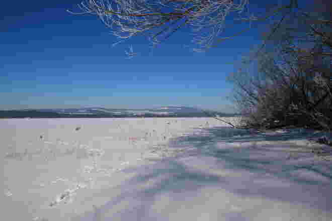 Schneeglitzern am Wallersee