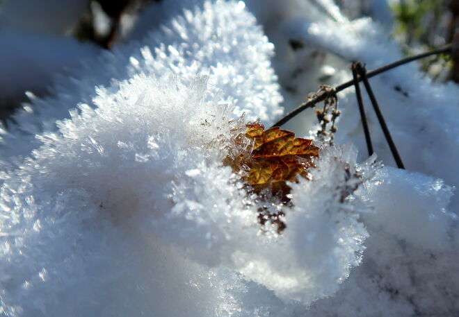 Von einem kristallinen Mantel umhüllt