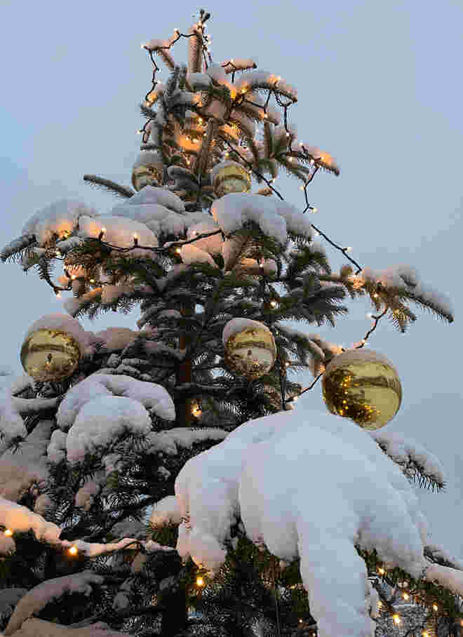 vorweihnachtlich   :  (