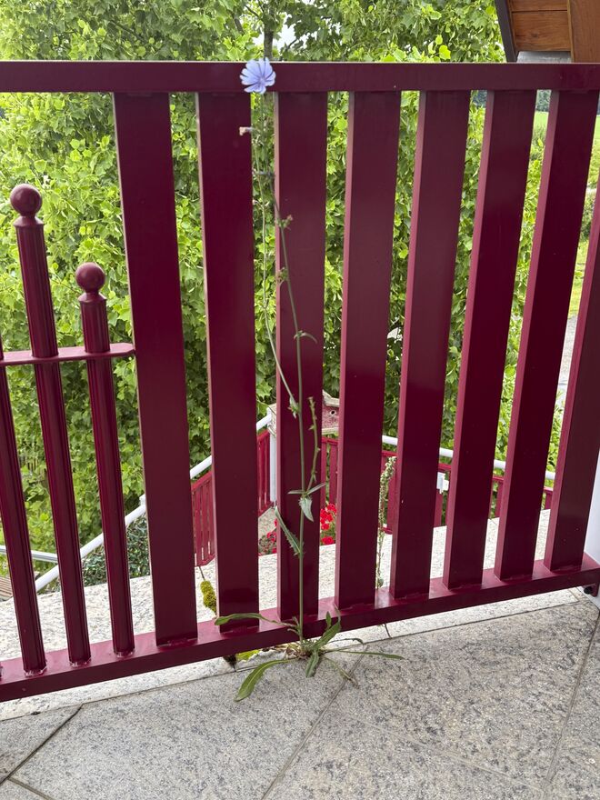 Raum ist in der kleinsten "Hütte"