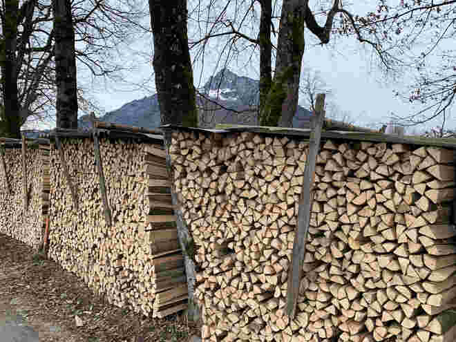 Genug Holz für viele Winter