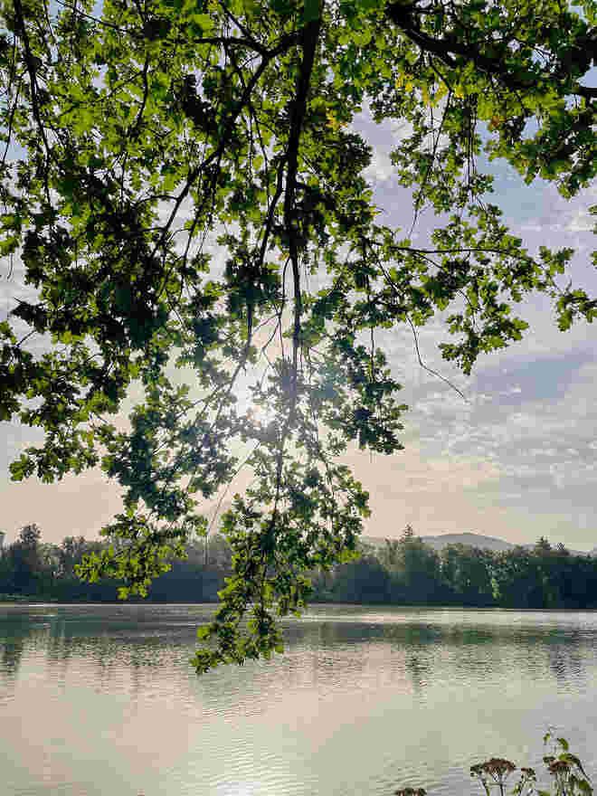 Salzachmorgen