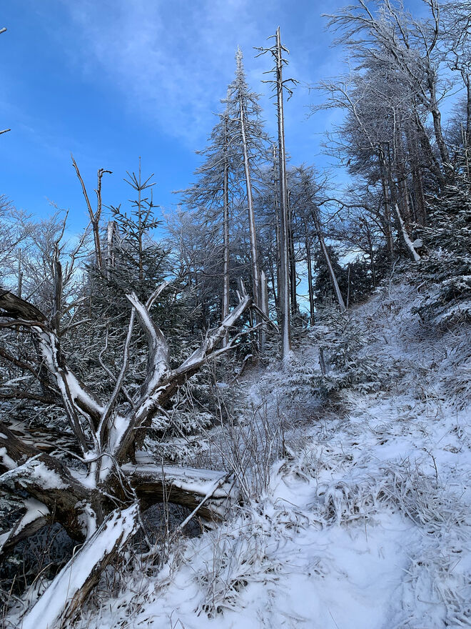 Auf dem Weg zum Sender