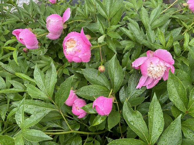 Pünktlich geöffnet!