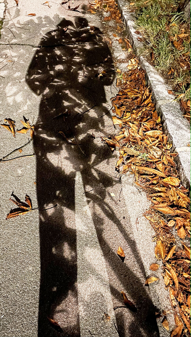 Der Herbst kommt mit Riesenschritten