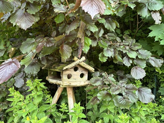 Ein Häuschen im Grünen