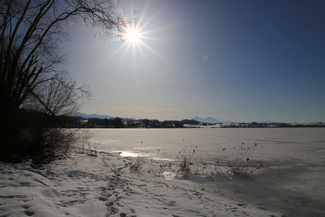 Ein Sonnentag am Wallersee